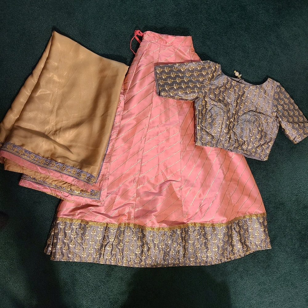 Indian Lehenga / Chanya choli Navratri Punjabi Pakistani.